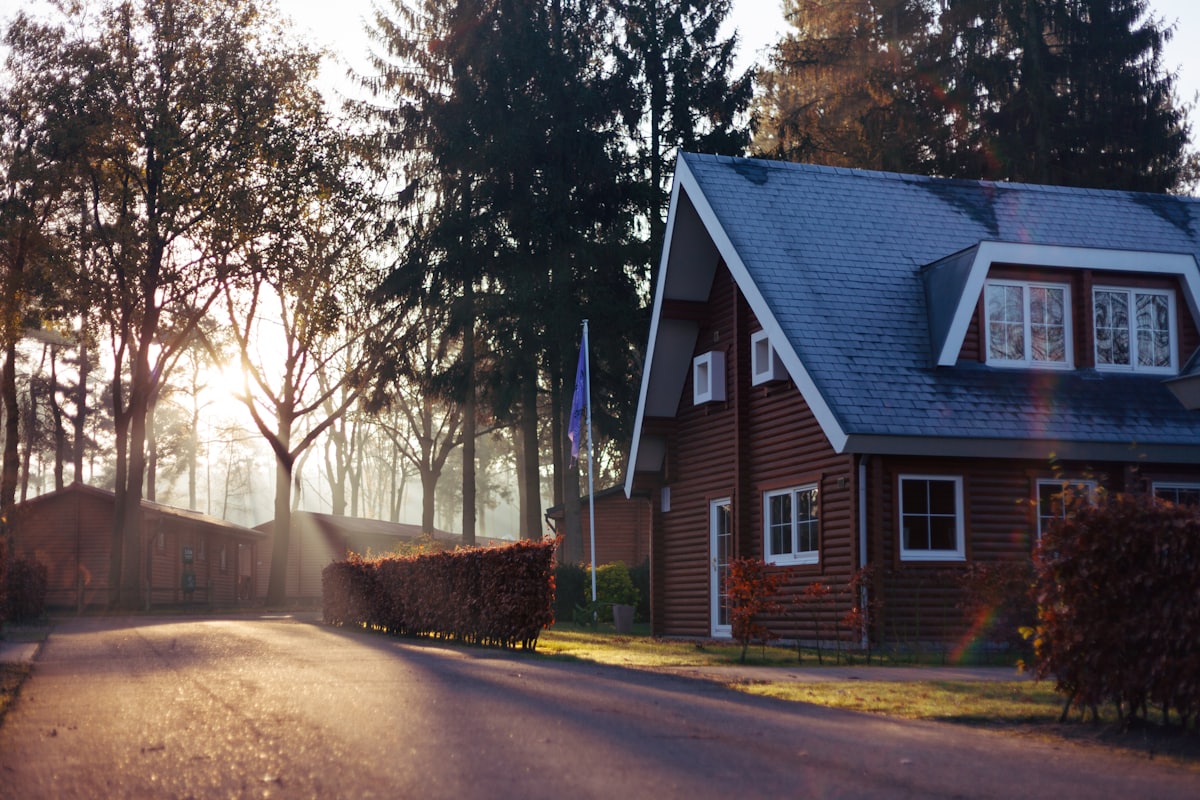 Suburban street lined with homes at golden sunset